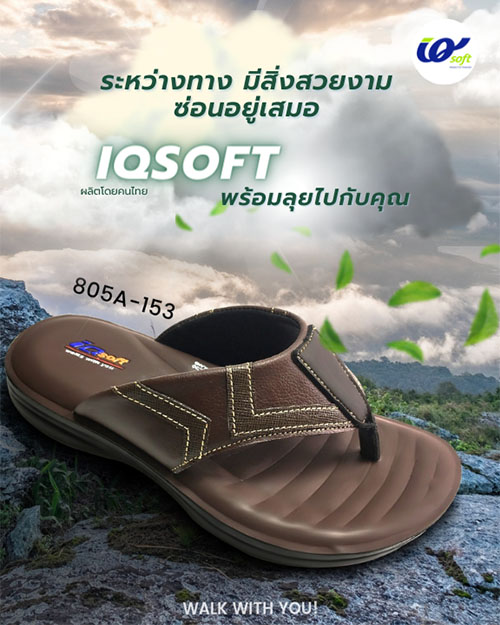 IQsoft Website Ads - 4